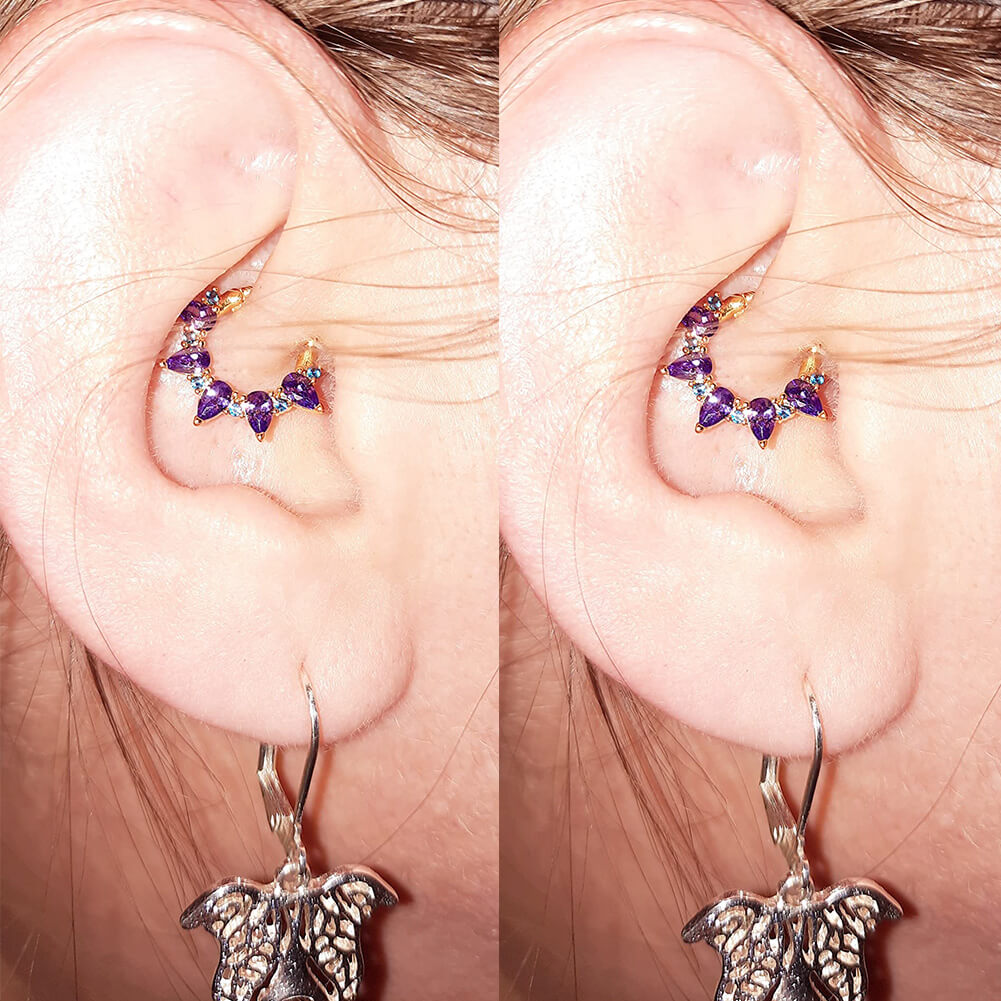 Gorgeous Purple CZ Segment Septum Ring