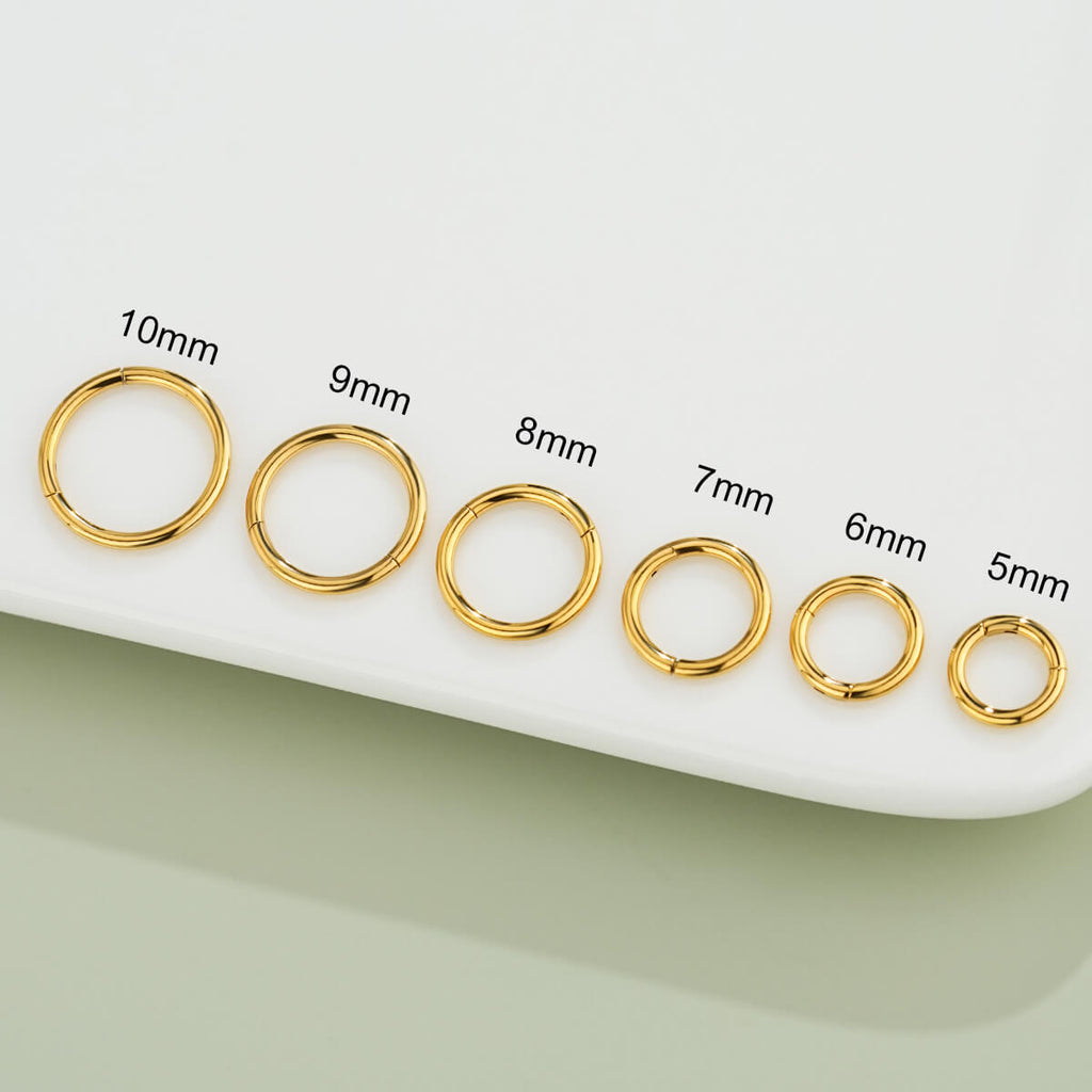 20G Minimalist Hinged Segment Nose Hoop