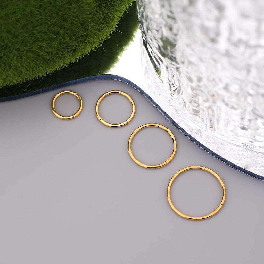 18G Hinged Segment Titanium Nose Hoop