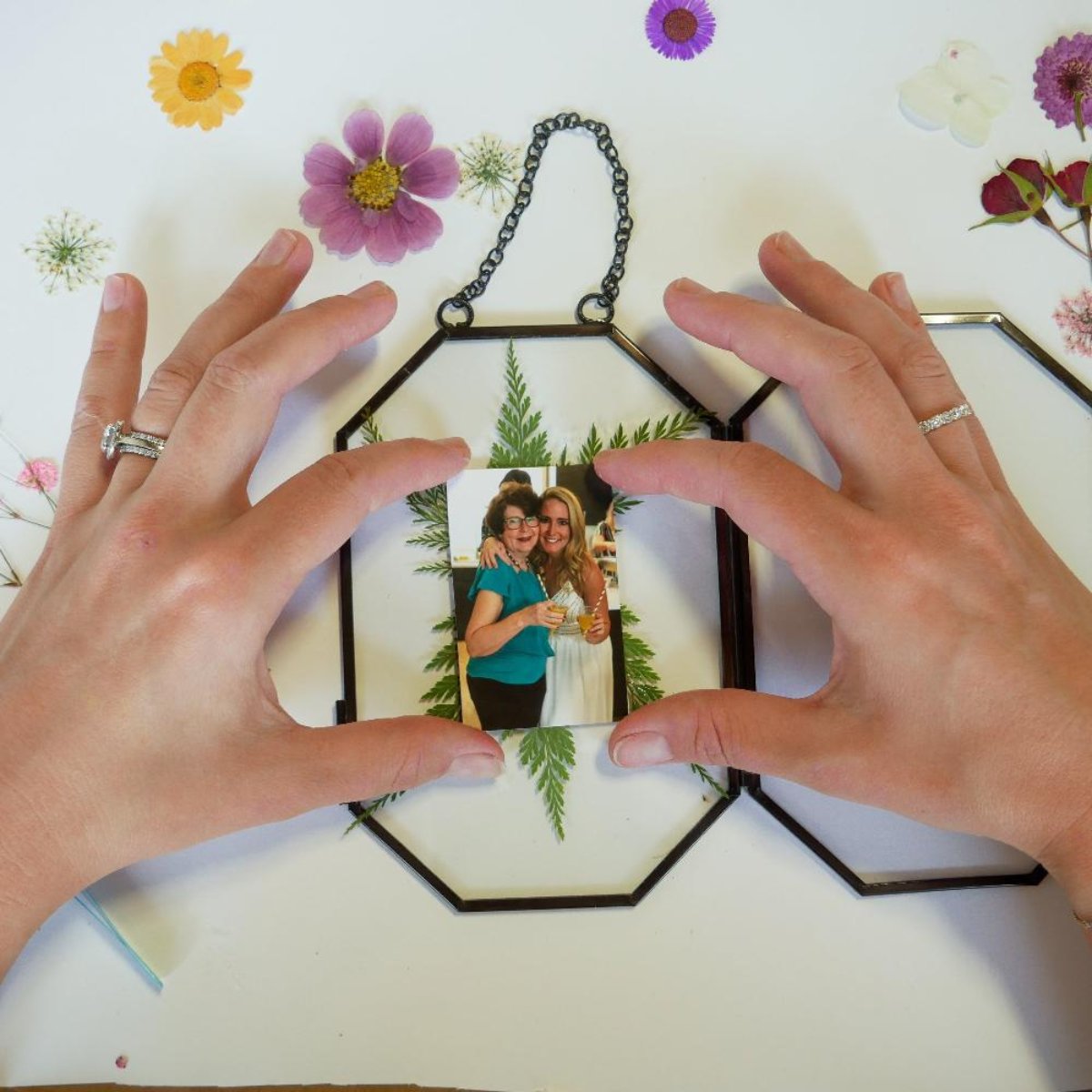 Framed Pressed Flowers Kit