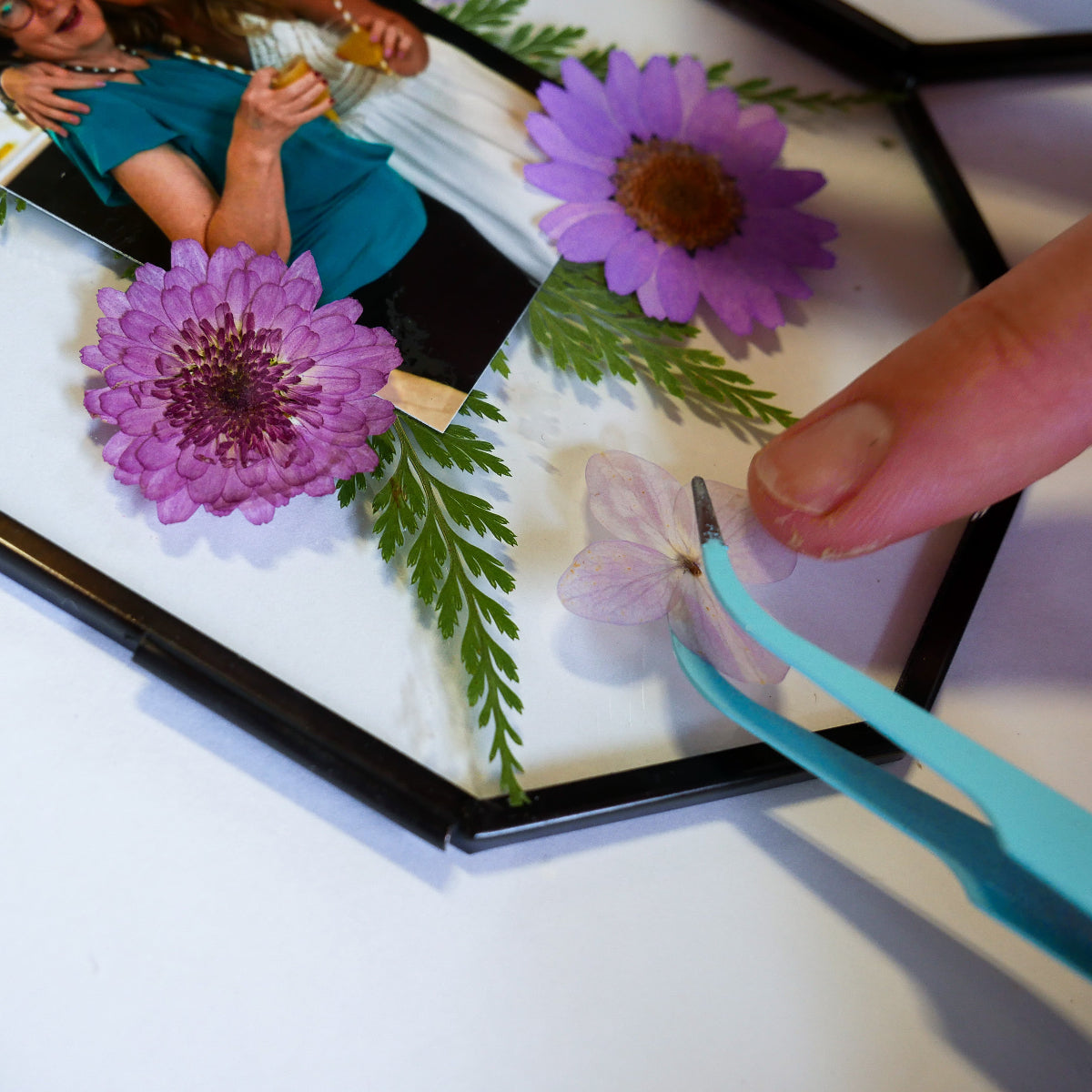 Framed Pressed Flowers Kit