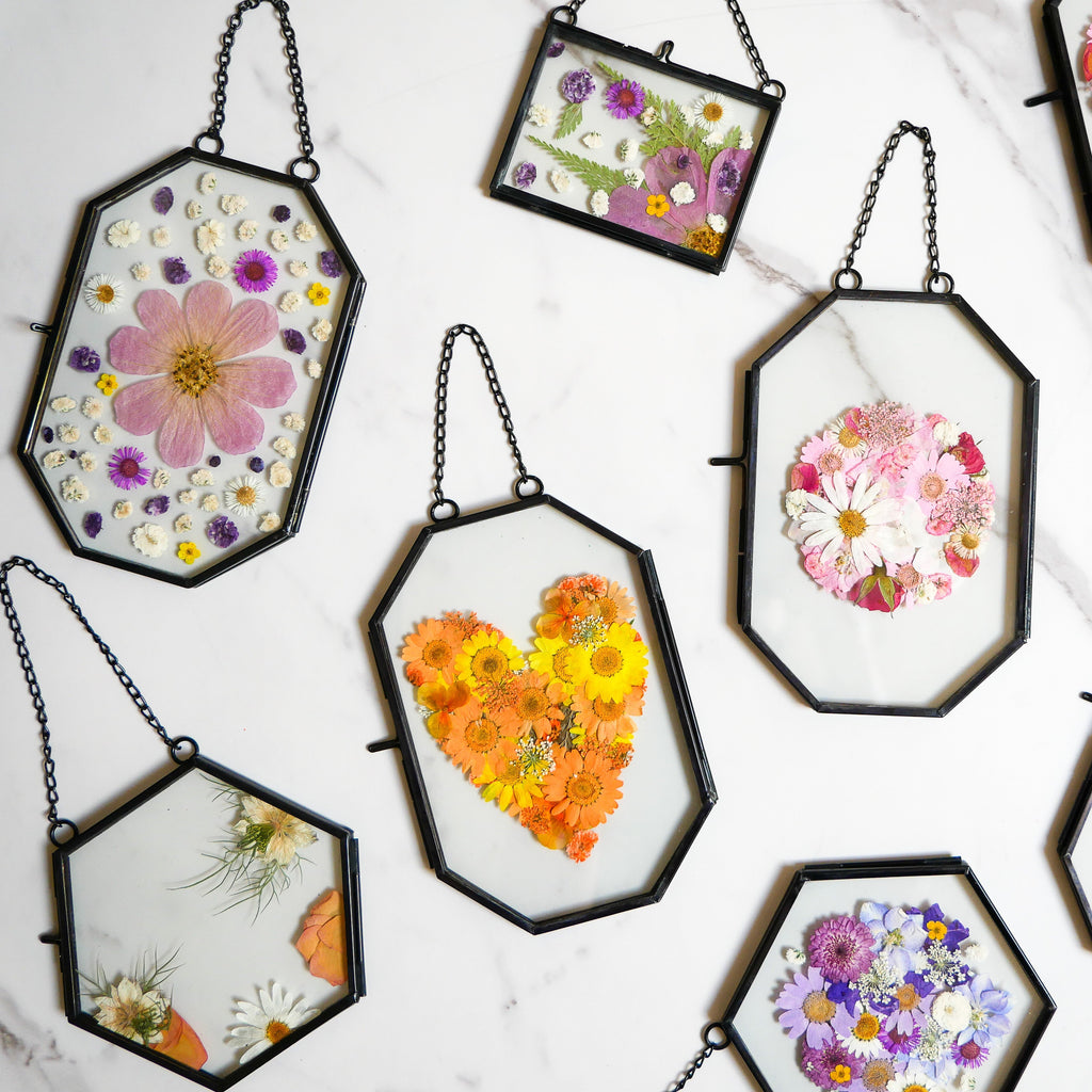 Framed Pressed Flowers Kit