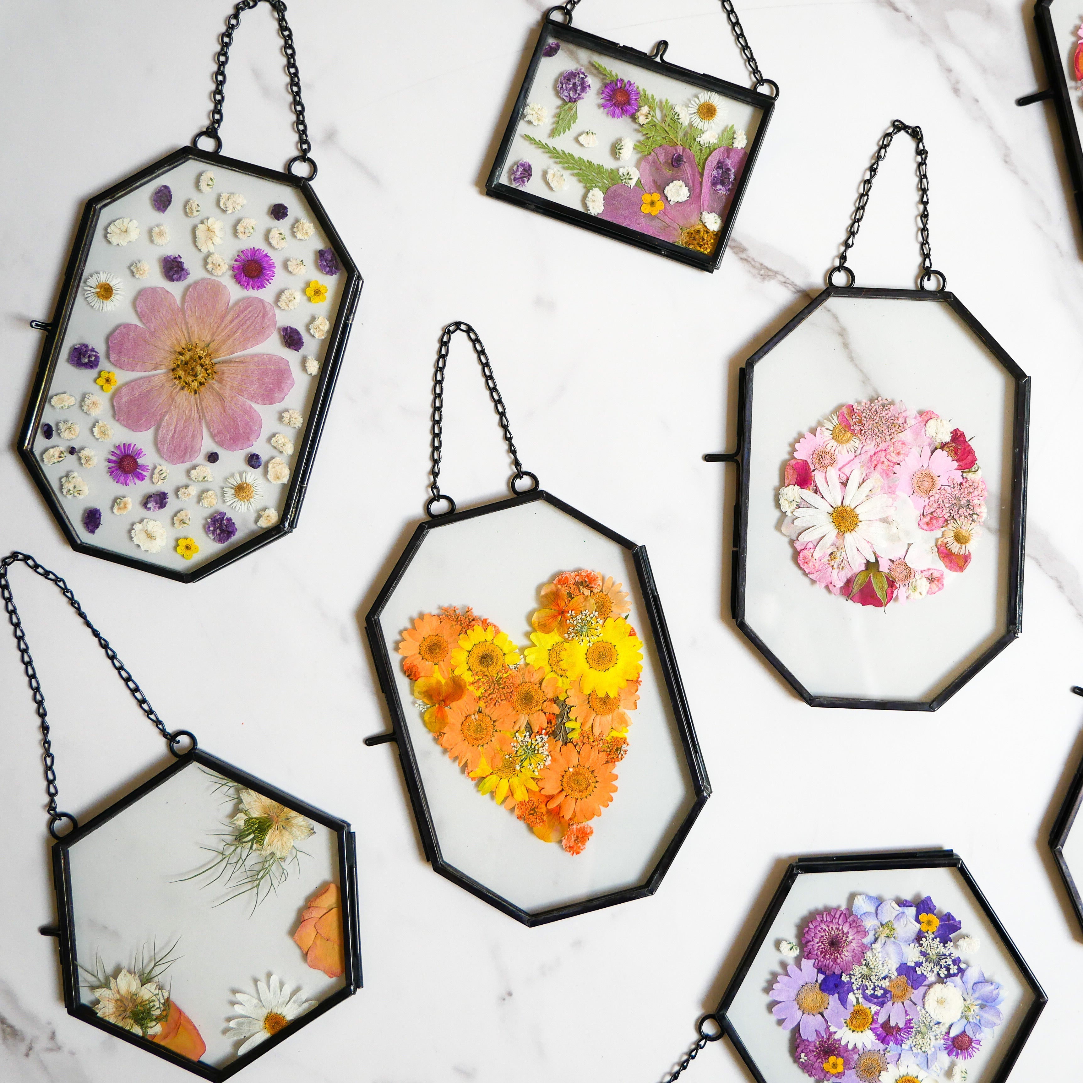 Framed Pressed Flowers Kit