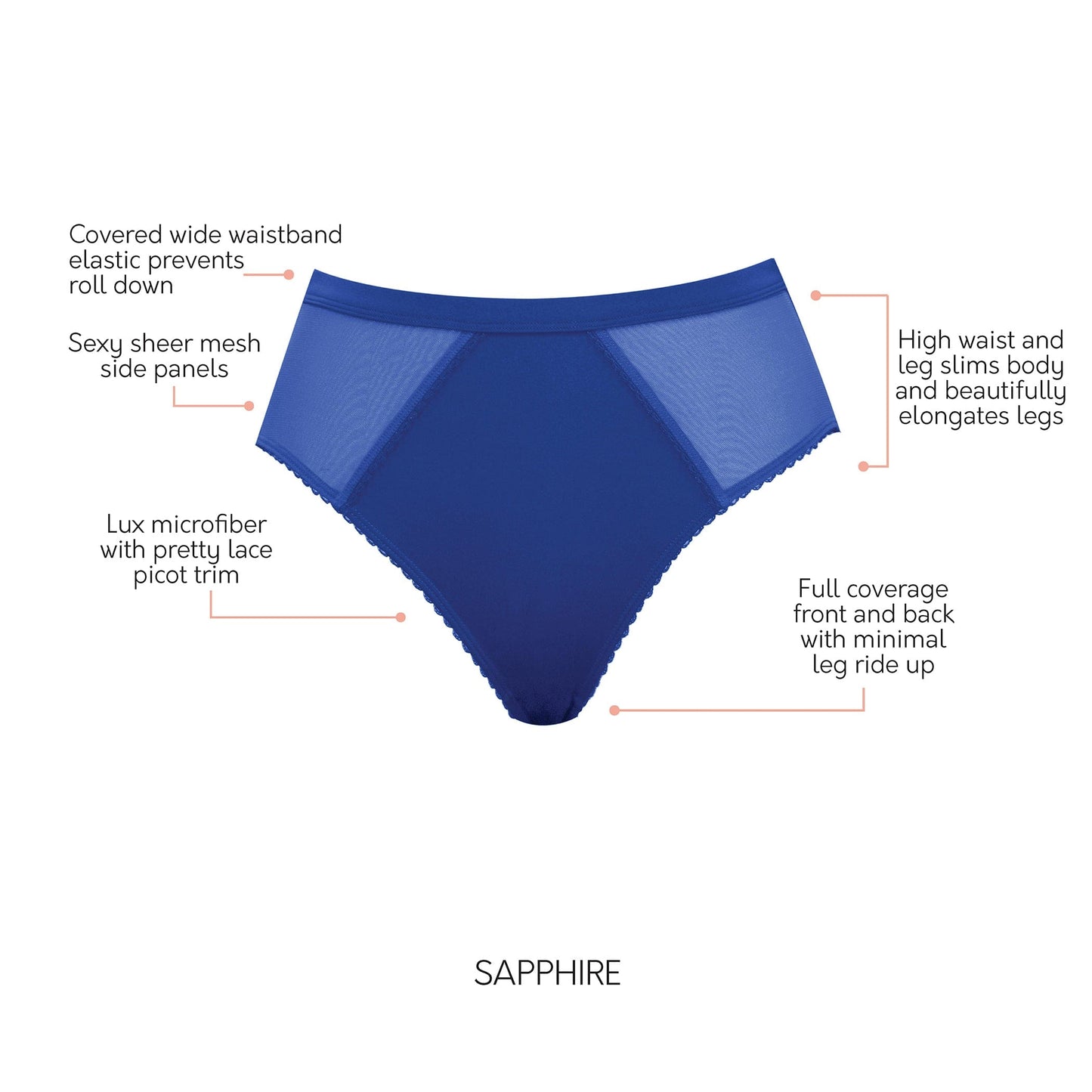 PARFAIT Micro Dressy PP306 French Cut High Waisted Sexy Sheer Panties  - Sapphire