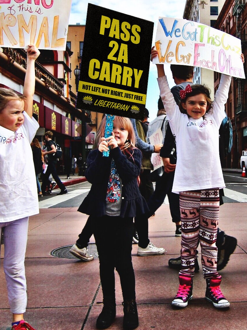 Pass 2A Carry - Profits for Protests Youth Sign (18" x 24")