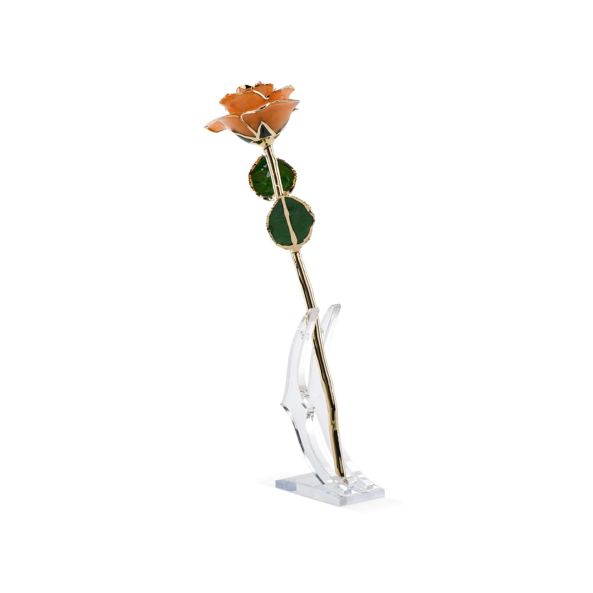 Timeless Rose (Pear)
