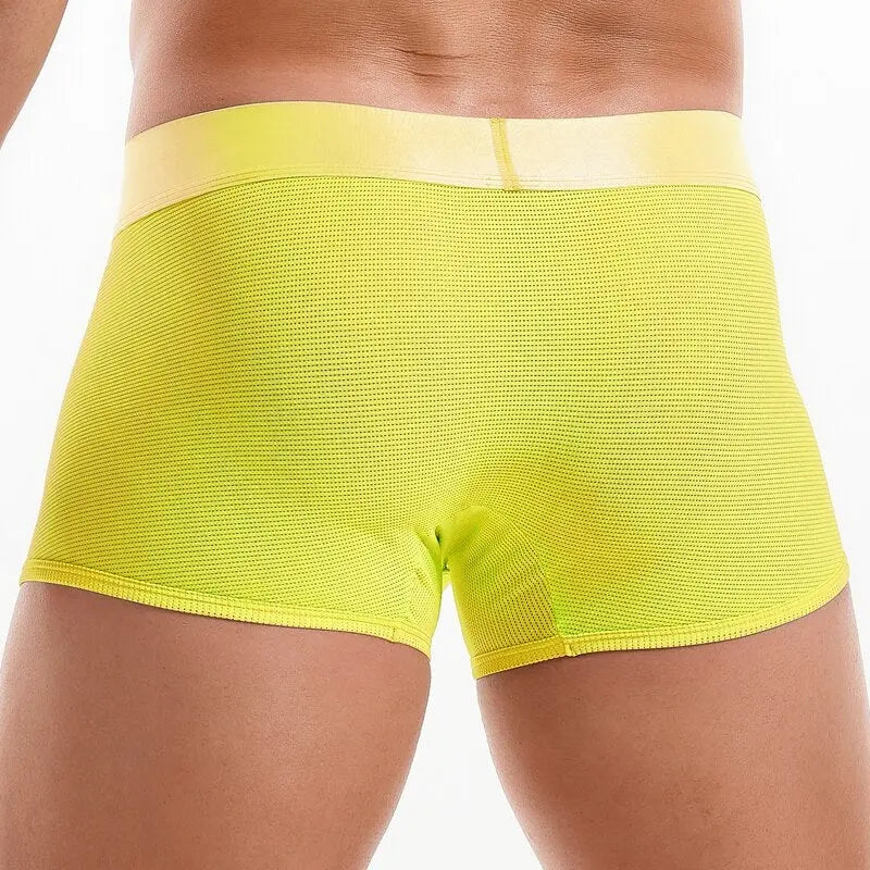 Shiny Waist Trunks