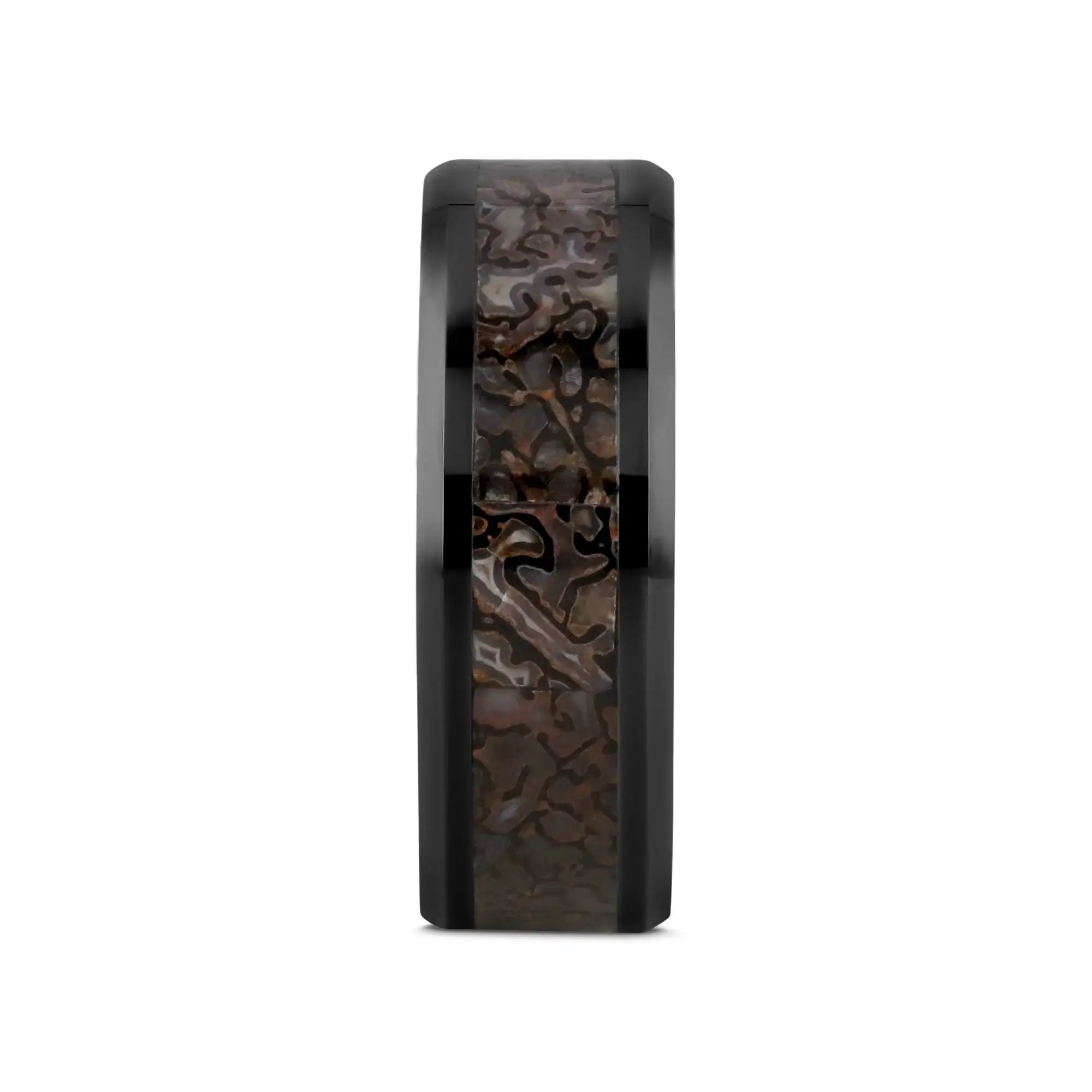 SILURIAN Dinosaur Bone Inlaid Black Ceramic Beveled Edged Ring - 4mm or 8mm