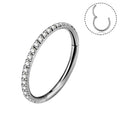 18G CZ Titanium Segment Nose Hoop