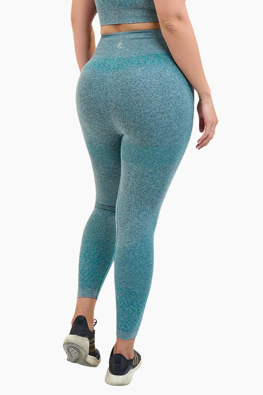 CURVEEZ Workout Leggings LEGGEEZ Cool Active