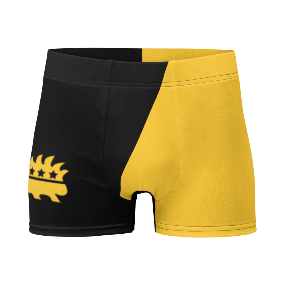 Tax This Ancap Porcupine Boxer Briefs