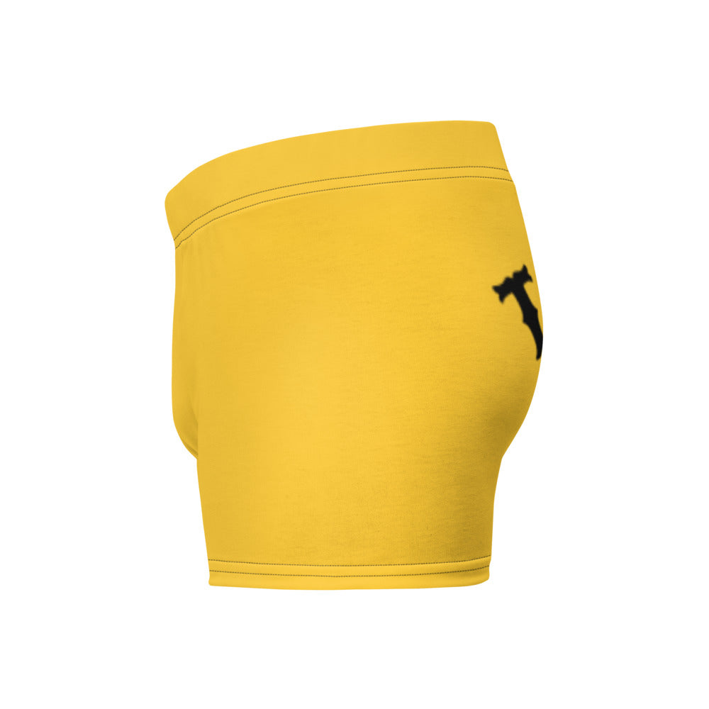 Tax This Ancap Porcupine Boxer Briefs