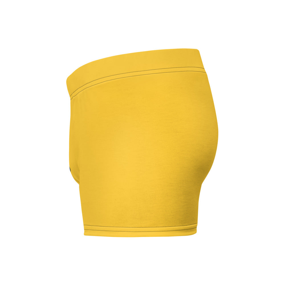 Tax This Ancap Porcupine Boxer Briefs