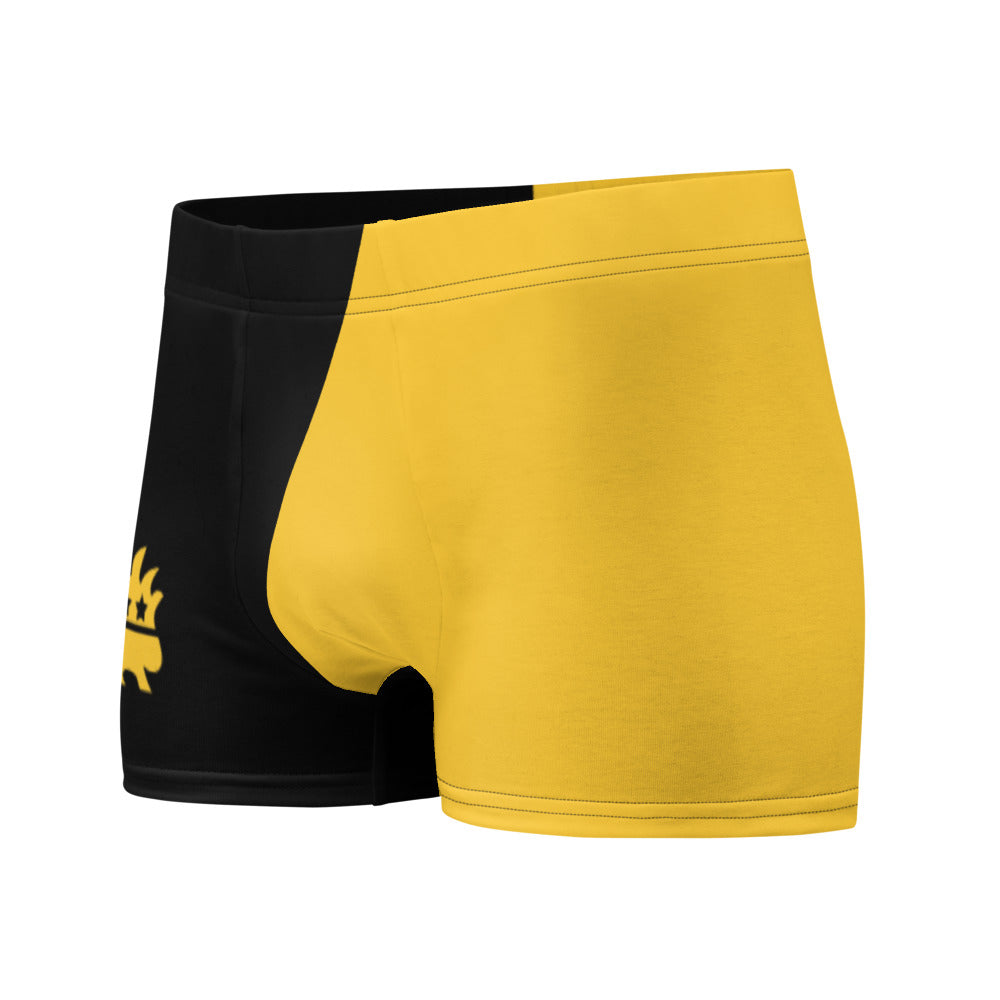 Tax This Ancap Porcupine Boxer Briefs