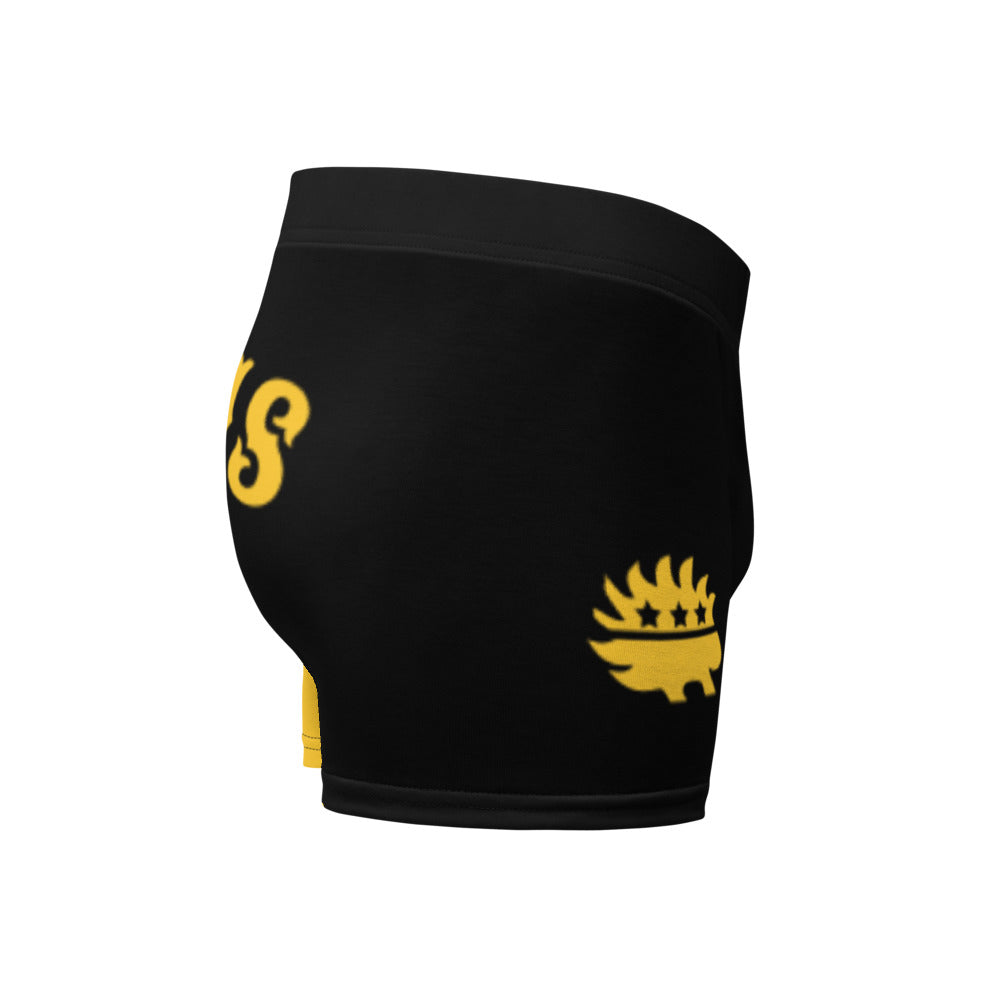Tax This Ancap Porcupine Boxer Briefs