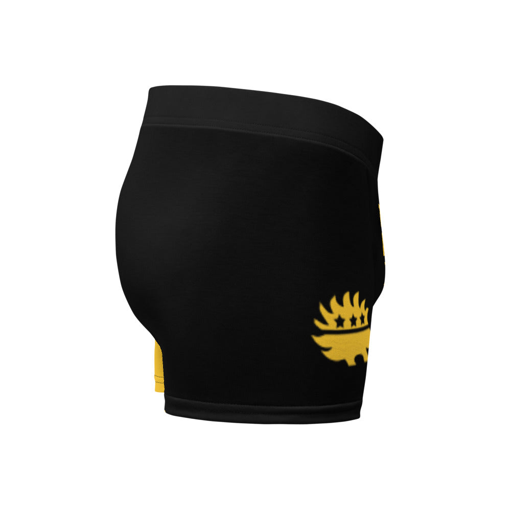 Tax This Ancap Porcupine Boxer Briefs