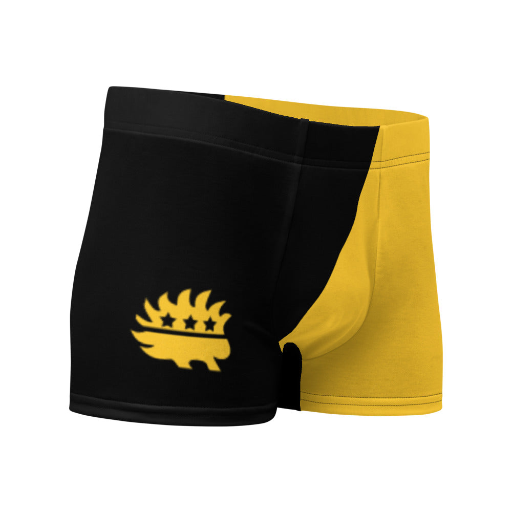 Tax This Ancap Porcupine Boxer Briefs