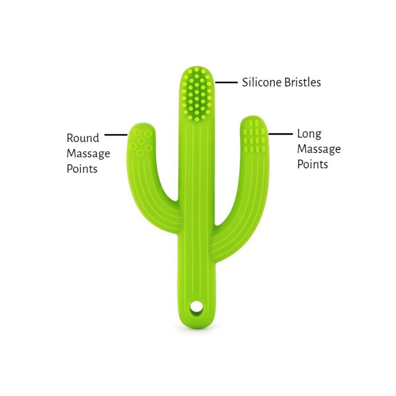 Silicone Teether Bundle