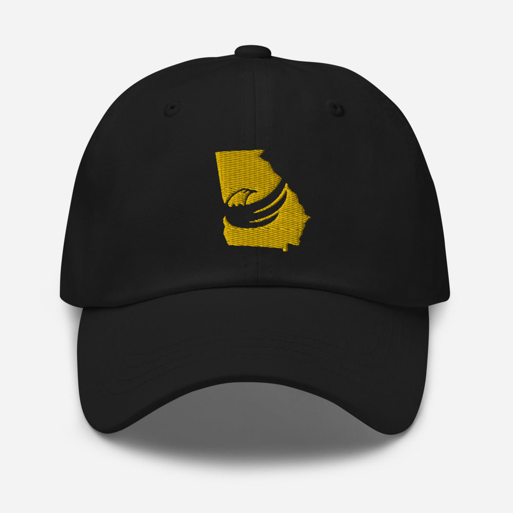 Graham for Georgia Dad hat