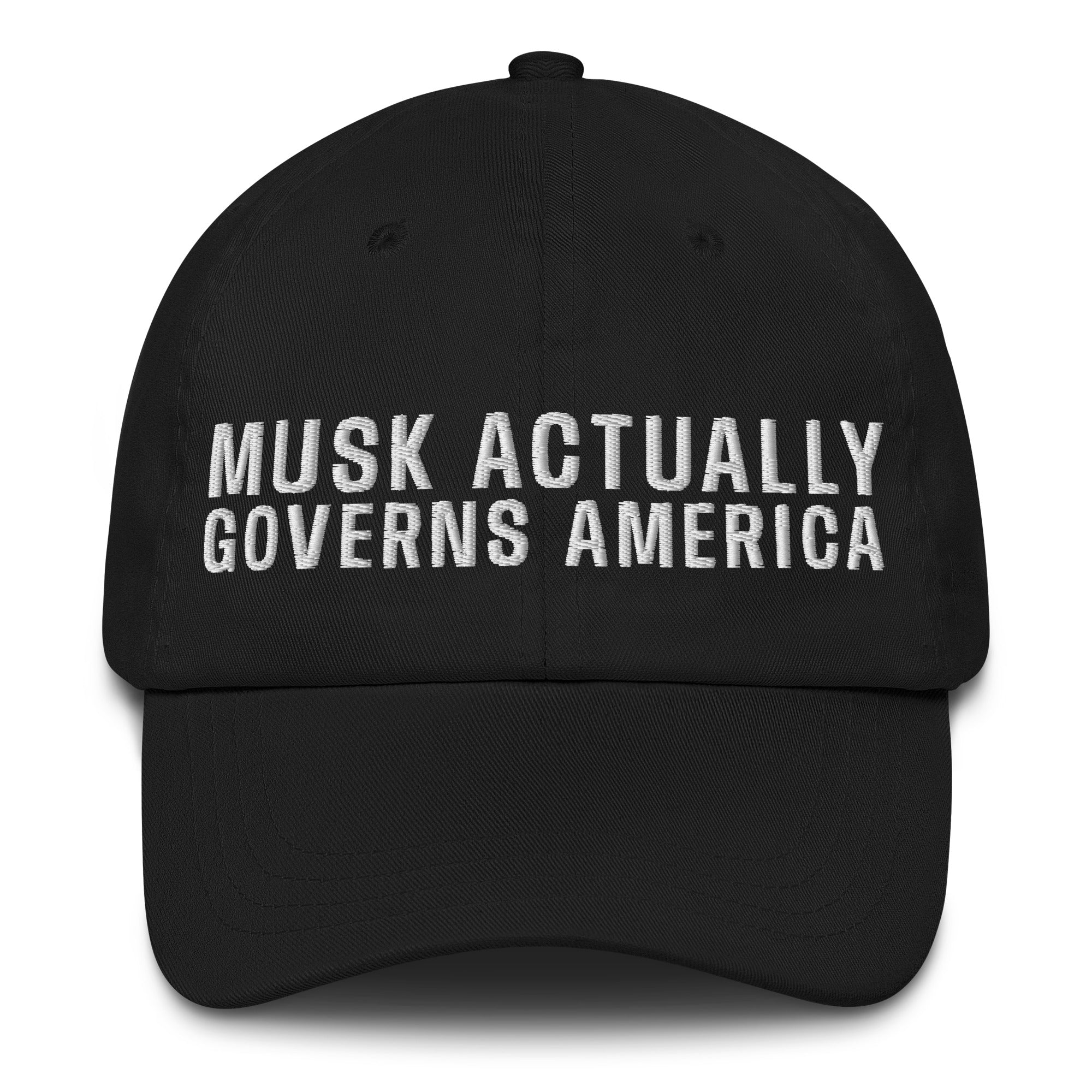Musk Actually Governs America MAGA Dad hat