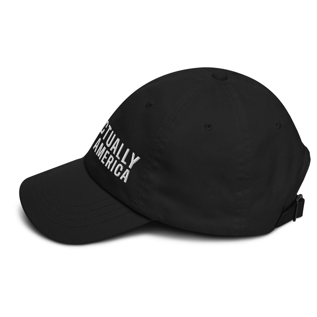 Musk Actually Governs America MAGA Dad hat