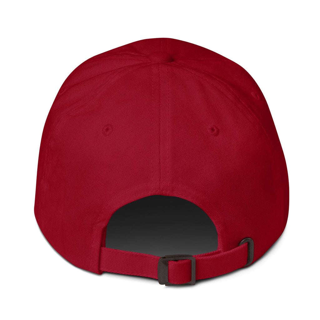 Musk Actually Governs America MAGA Dad hat