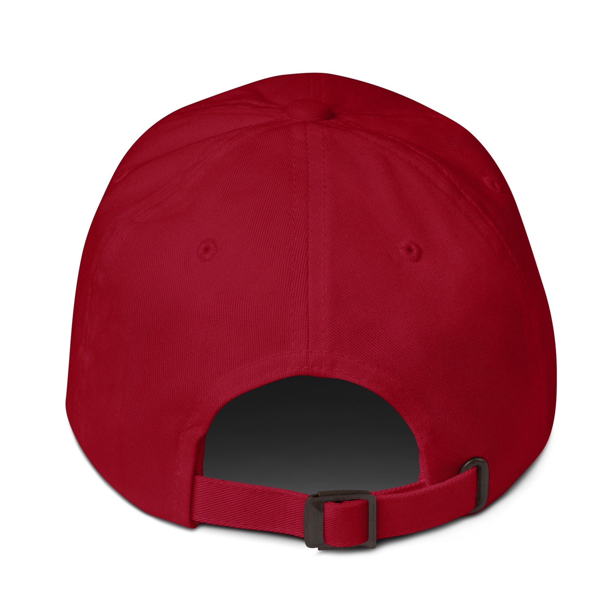 Musk Actually Governs America MAGA Dad hat