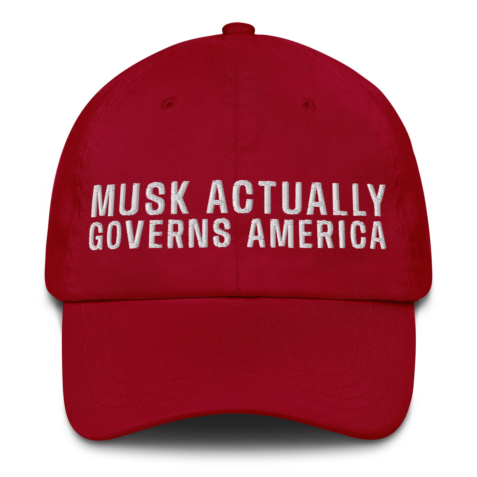 Musk Actually Governs America MAGA Dad hat