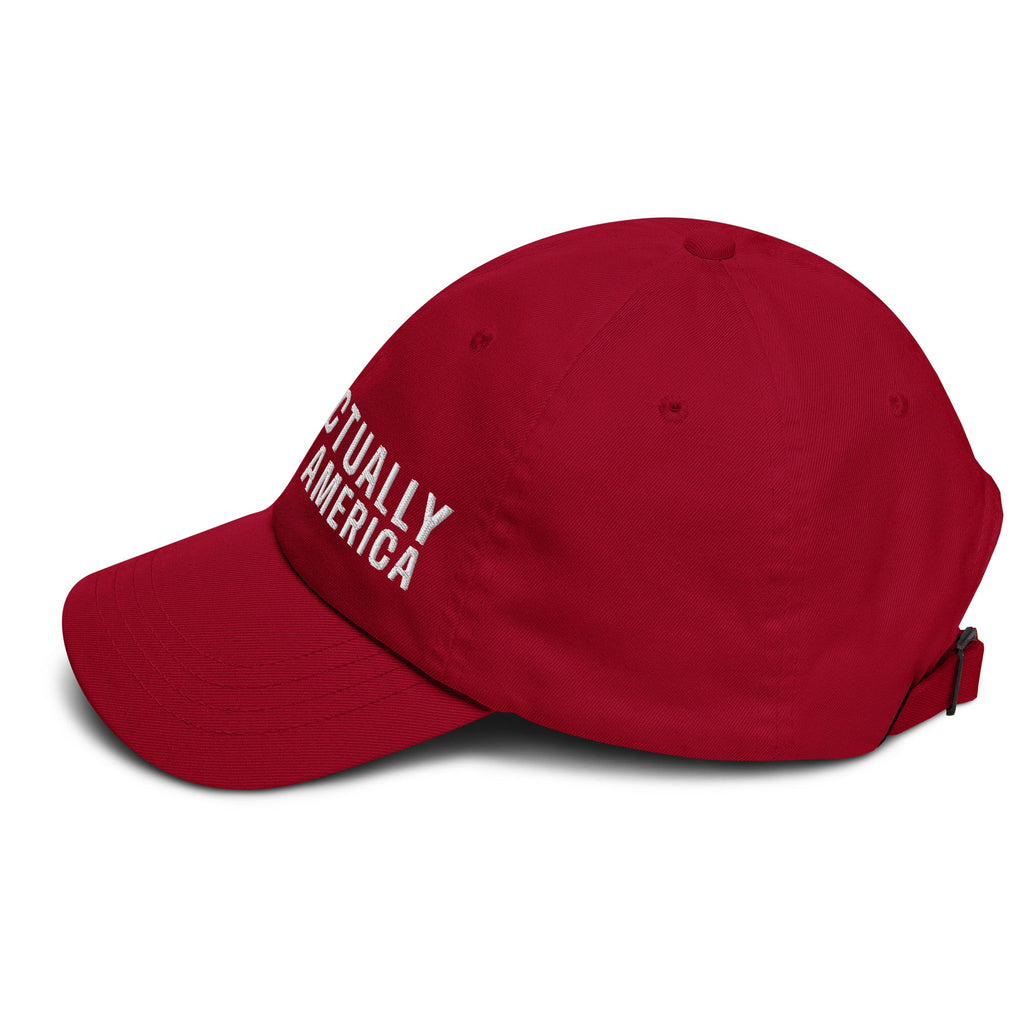 Musk Actually Governs America MAGA Dad hat