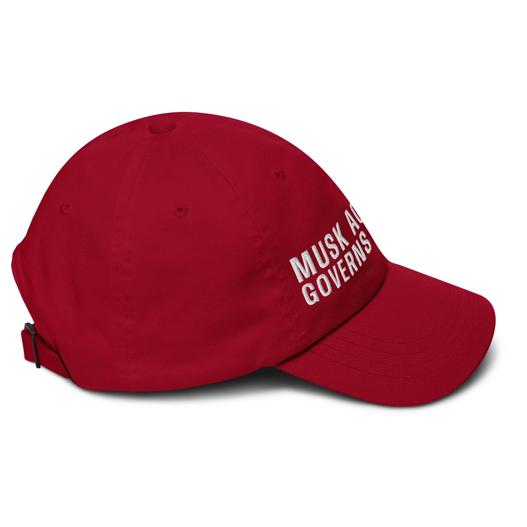 Musk Actually Governs America MAGA Dad hat