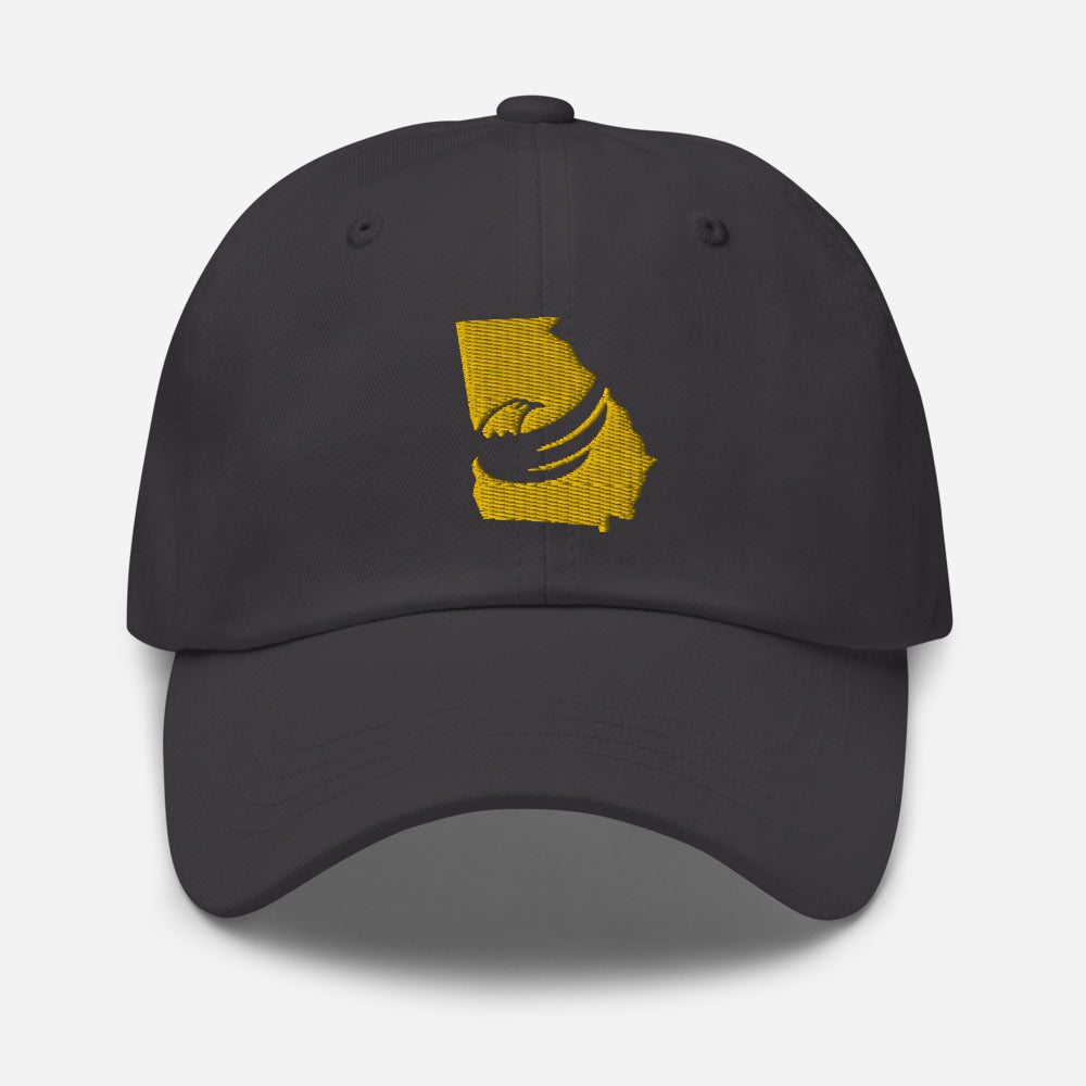 Graham for Georgia Dad hat