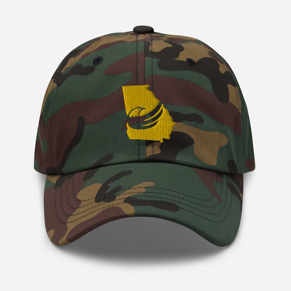 Graham for Georgia Dad hat
