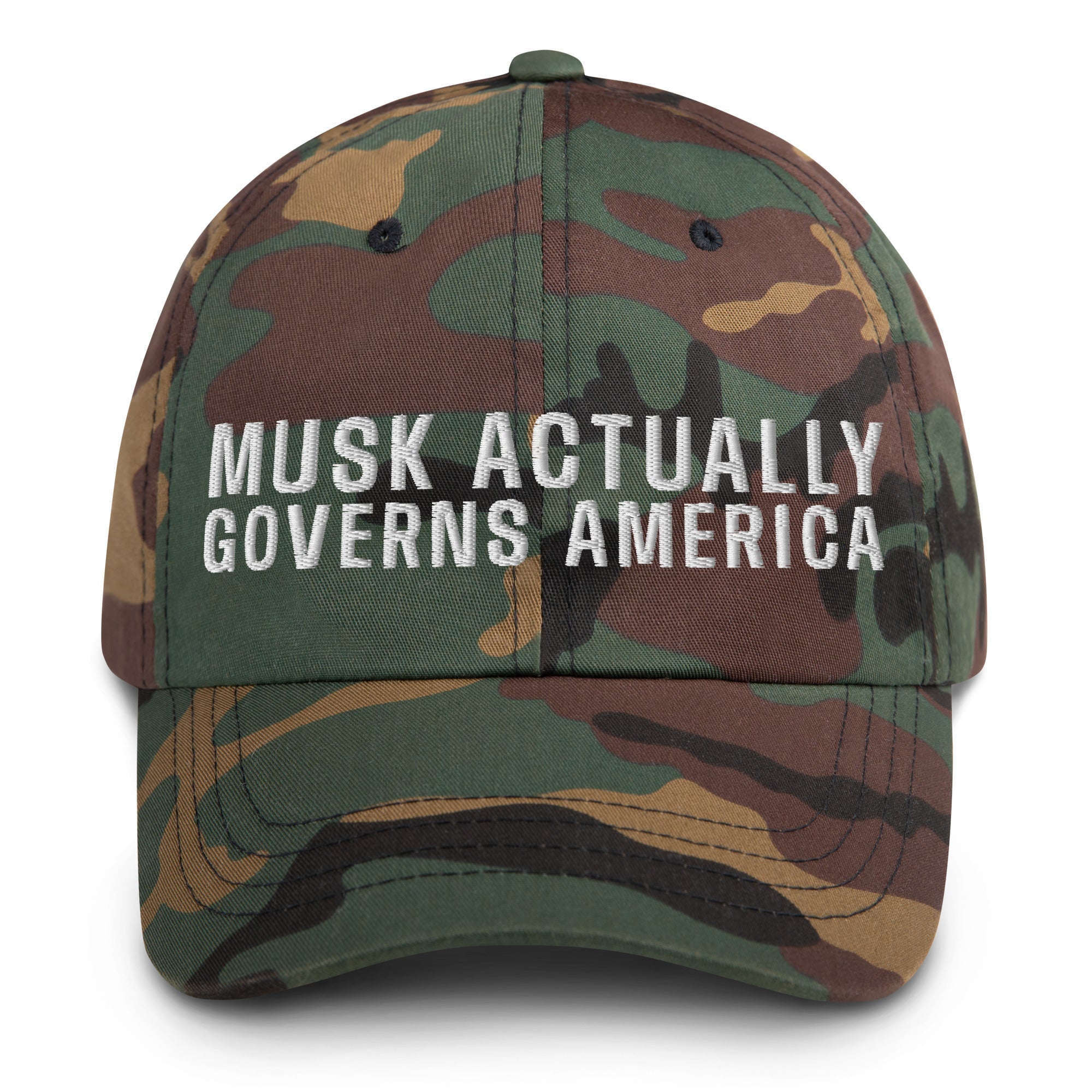 Musk Actually Governs America MAGA Dad hat
