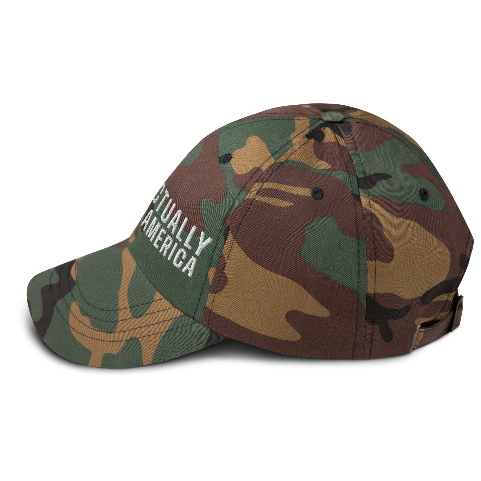 Musk Actually Governs America MAGA Dad hat