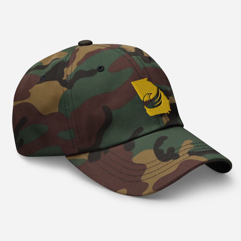 Graham for Georgia Dad hat