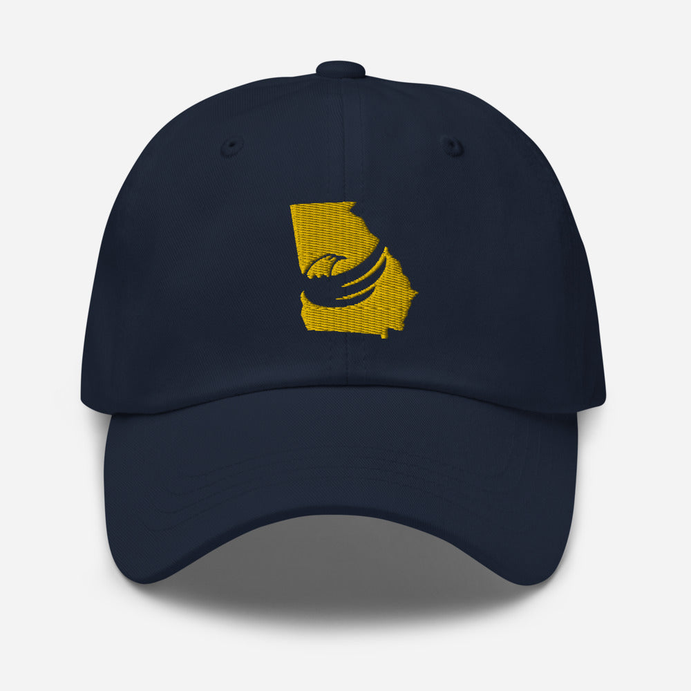 Graham for Georgia Dad hat
