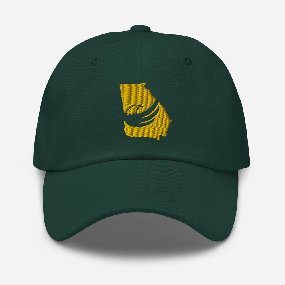 Graham for Georgia Dad hat