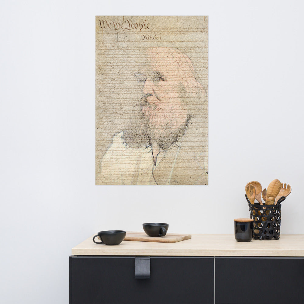 US Constitution Spooner Poster