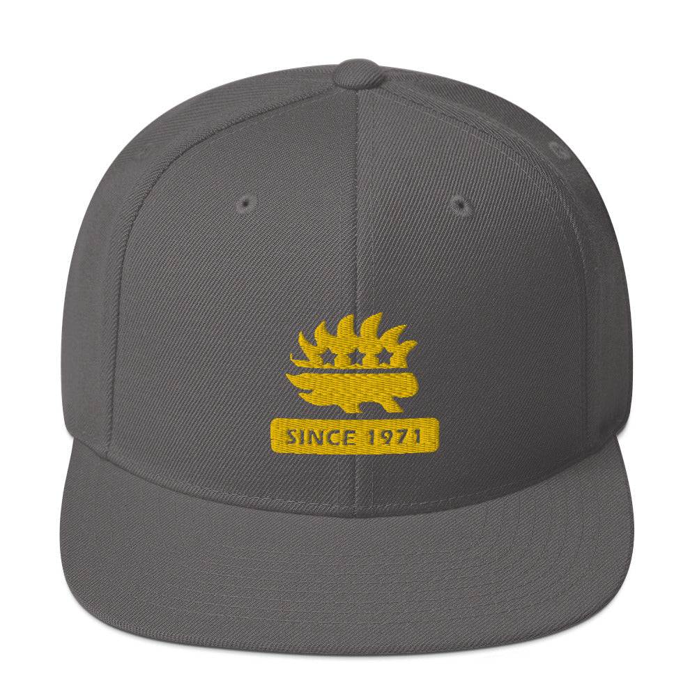 Libertarian Porcupine (Since 1971) Snapback Hat