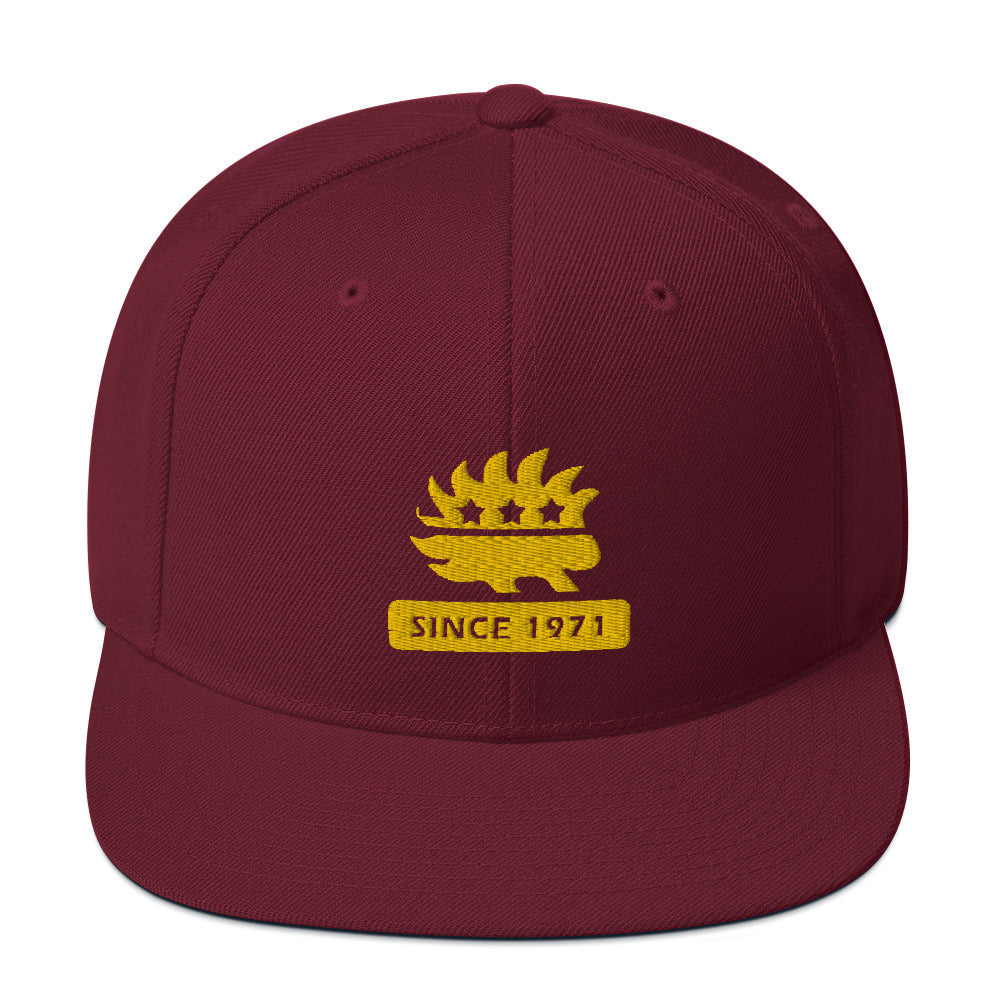 Libertarian Porcupine (Since 1971) Snapback Hat