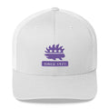 Libertarian Porcupine (Since 1971) Trucker Cap