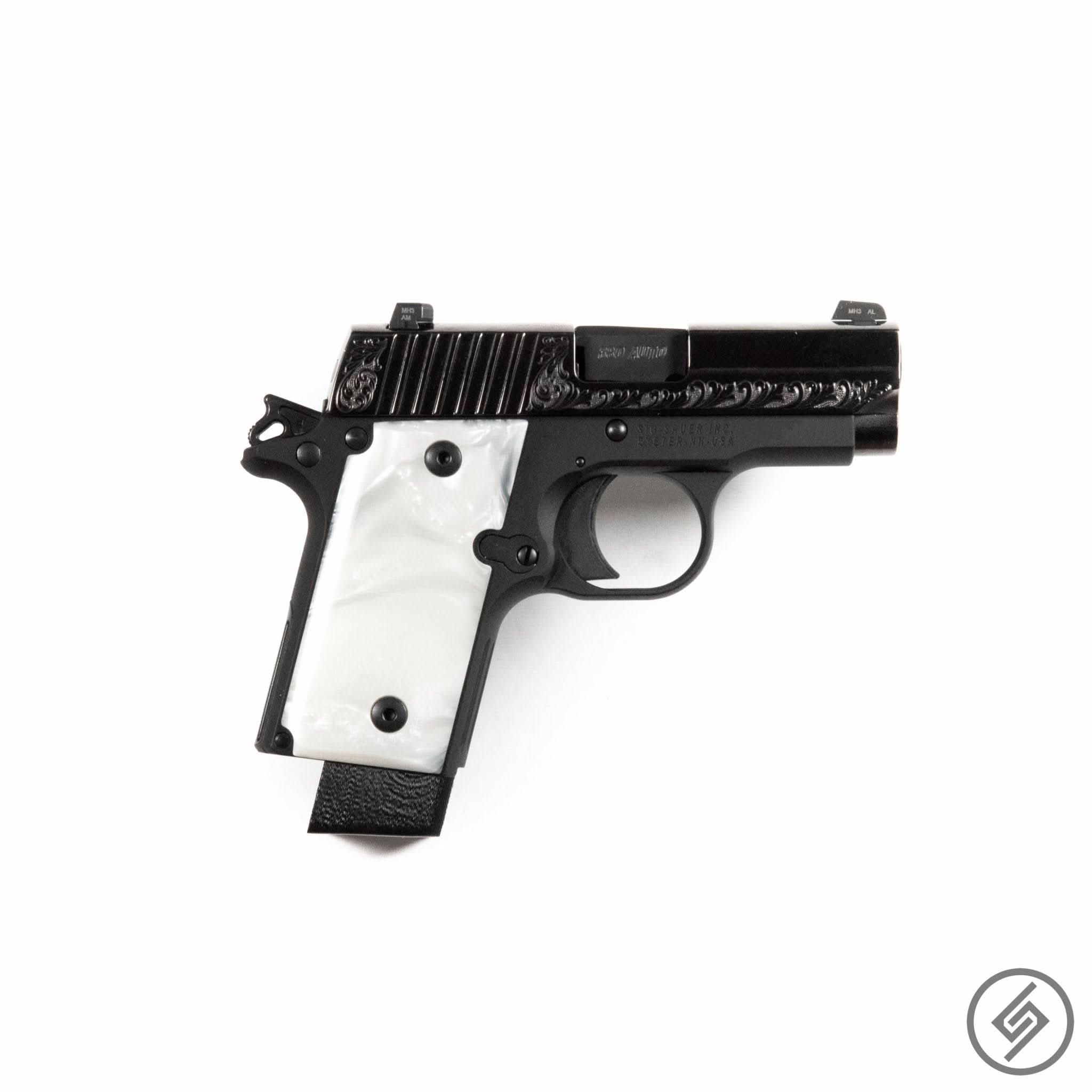 SIG P238 Pistol Wall Storage Hook