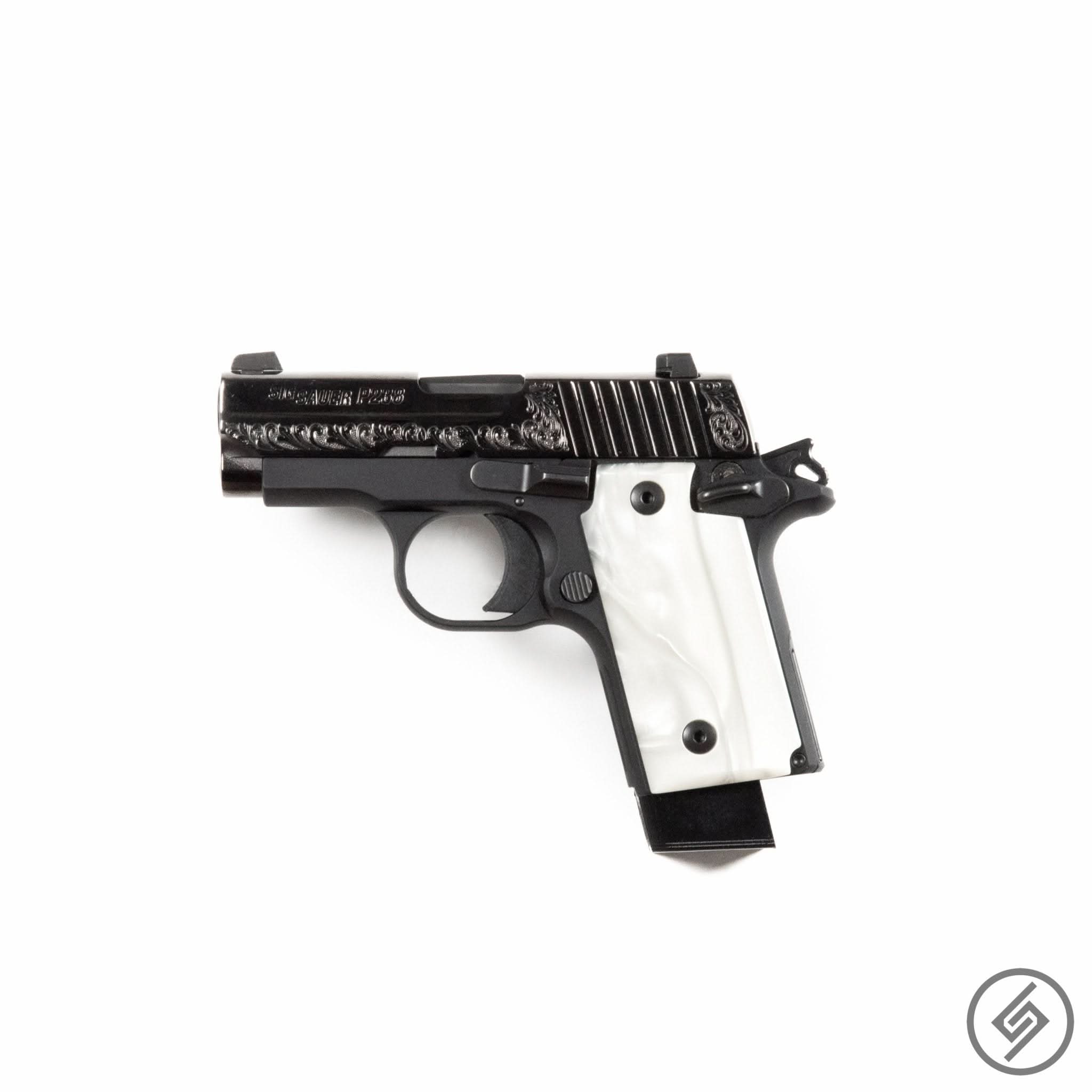SIG P238 Pistol Wall Storage Hook