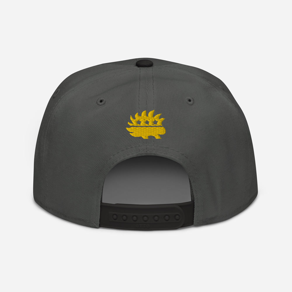 LP Porcupine - Schuylkill County, Pennsylvania Snapback Hat
