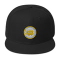 Ricky Harrington for Governor Arkansas Snapback Hat