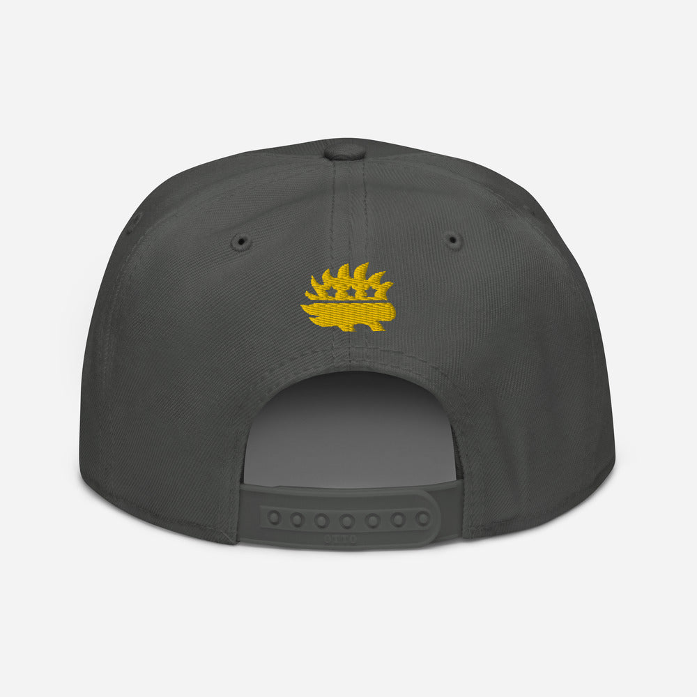LP Porcupine - Schuylkill County, Pennsylvania Snapback Hat