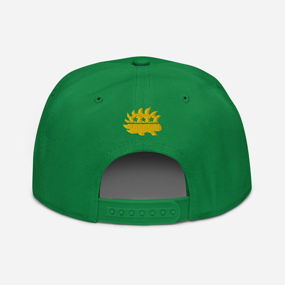 LP Porcupine - Schuylkill County, Pennsylvania Snapback Hat