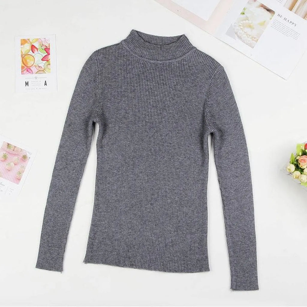 Solid Turtleneck Sweater
