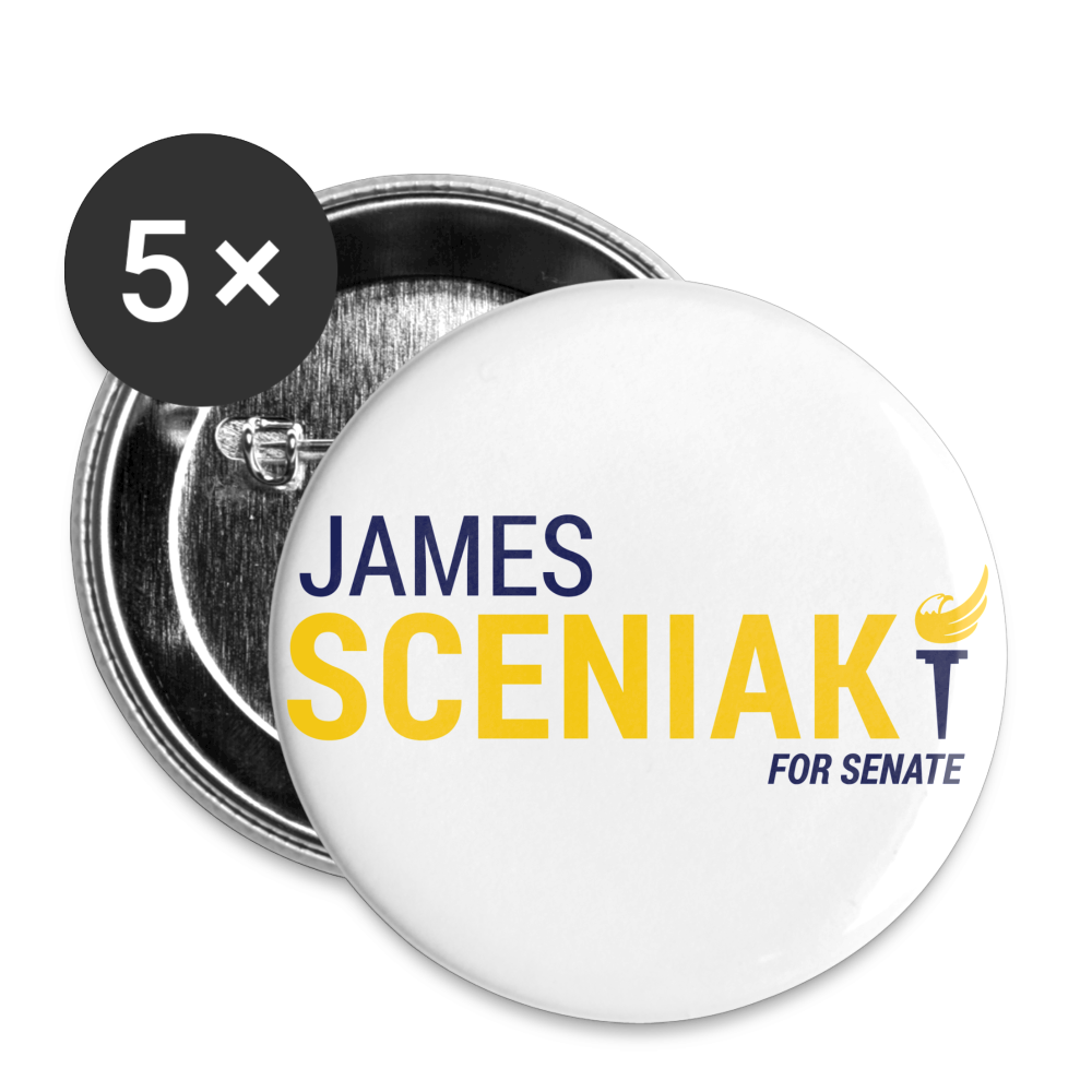 Sceniak for Senate Buttons small 1'' (5-pack)