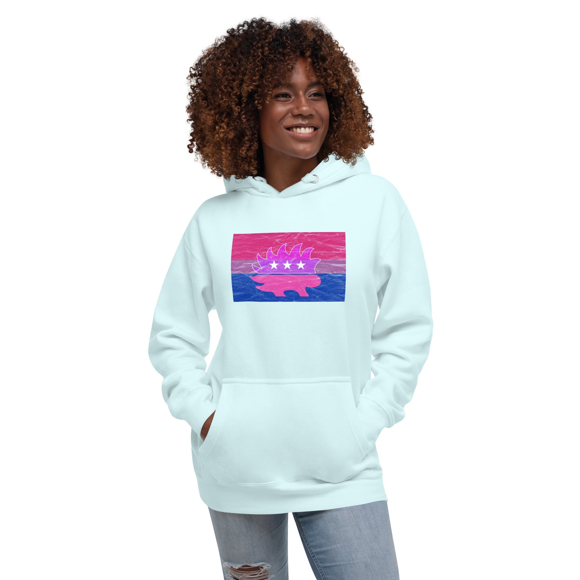 Libertarian Porcupine - LGBTQ - Bisexual Unisex Hoodie